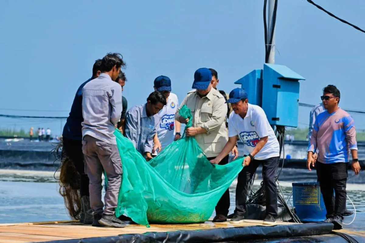Indonesia produsen udang dunia