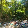 Lalai Tangani Sampah, Buttusawe Jadi Sorotan