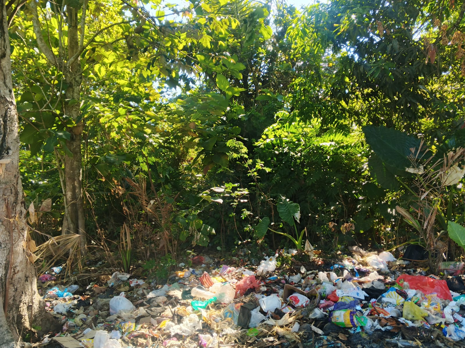Tumpukan sampah terlihat di bahu Jalan Desa Buttusawe